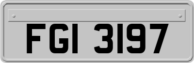 FGI3197