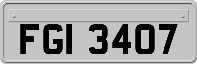 FGI3407