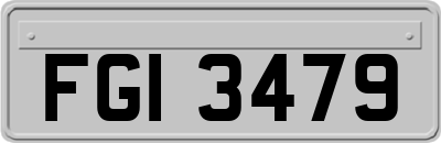 FGI3479