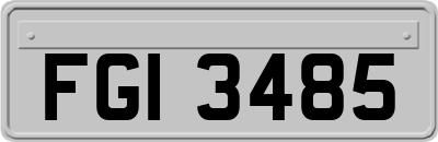 FGI3485