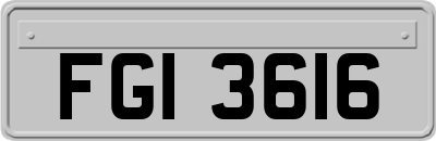 FGI3616