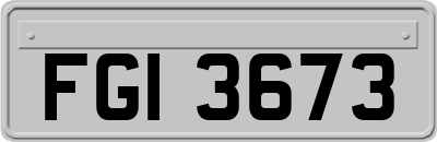 FGI3673