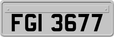 FGI3677