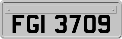 FGI3709