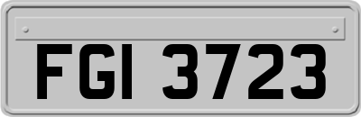FGI3723