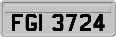 FGI3724