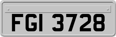 FGI3728
