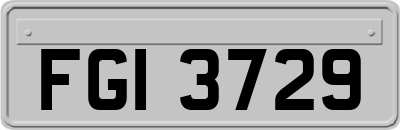 FGI3729