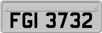 FGI3732