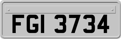 FGI3734