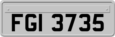 FGI3735
