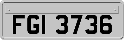 FGI3736