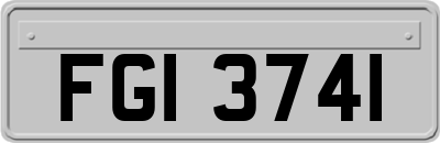FGI3741