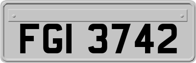 FGI3742