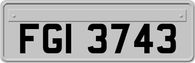 FGI3743