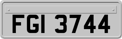 FGI3744