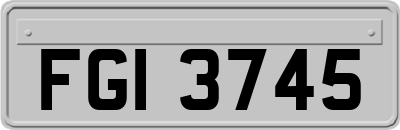 FGI3745