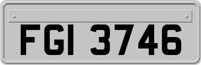 FGI3746