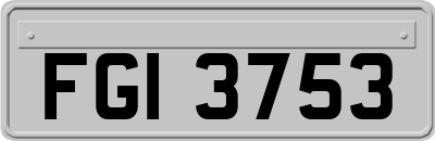 FGI3753