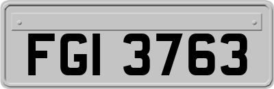 FGI3763