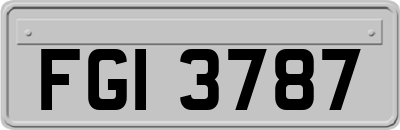 FGI3787