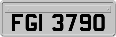 FGI3790