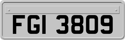 FGI3809