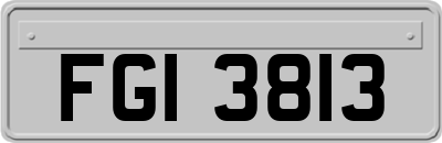 FGI3813