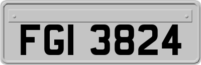 FGI3824