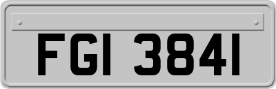 FGI3841
