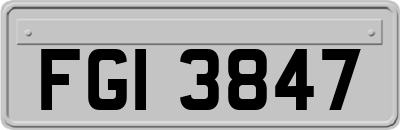 FGI3847