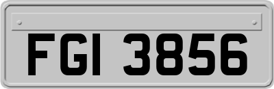 FGI3856