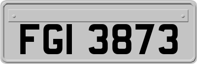 FGI3873