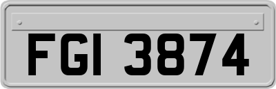 FGI3874