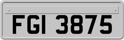FGI3875