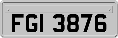 FGI3876