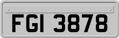 FGI3878