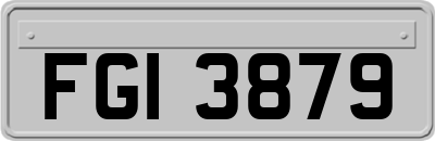 FGI3879