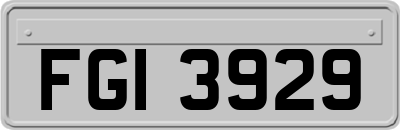 FGI3929