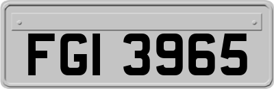 FGI3965