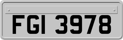 FGI3978