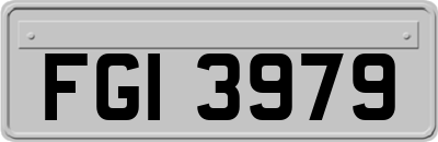 FGI3979