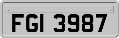 FGI3987