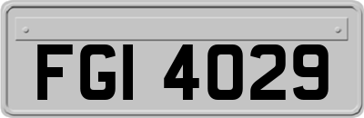 FGI4029