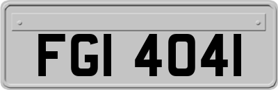 FGI4041