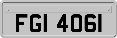 FGI4061