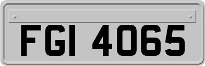 FGI4065