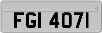 FGI4071