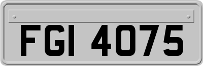 FGI4075