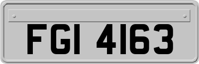 FGI4163